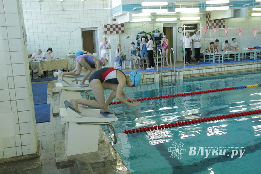 В Великих Луках прошел Чемпионат и Кубок города по плаванию (фото)
