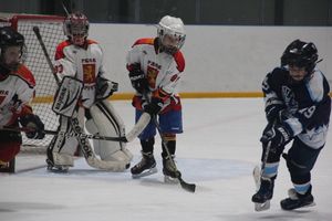 Товарищескике хоккейные игры между детскими командами прошли в Великих Луках (ФОТО)