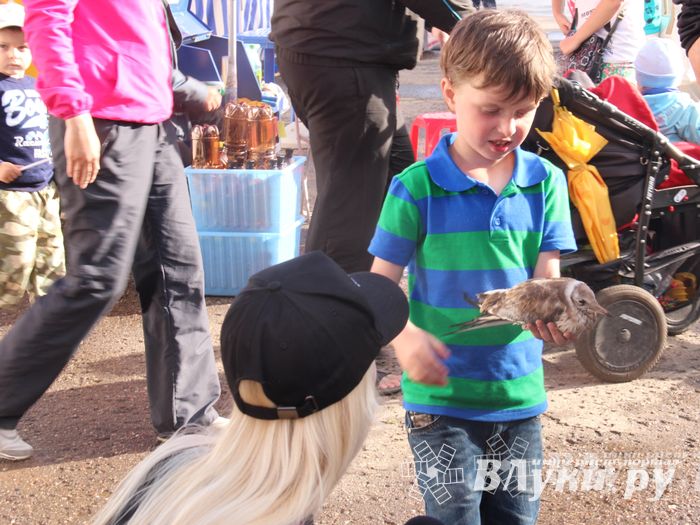 ​Tele2 поздравила великолучан с Днем рождения любимого города (фото)