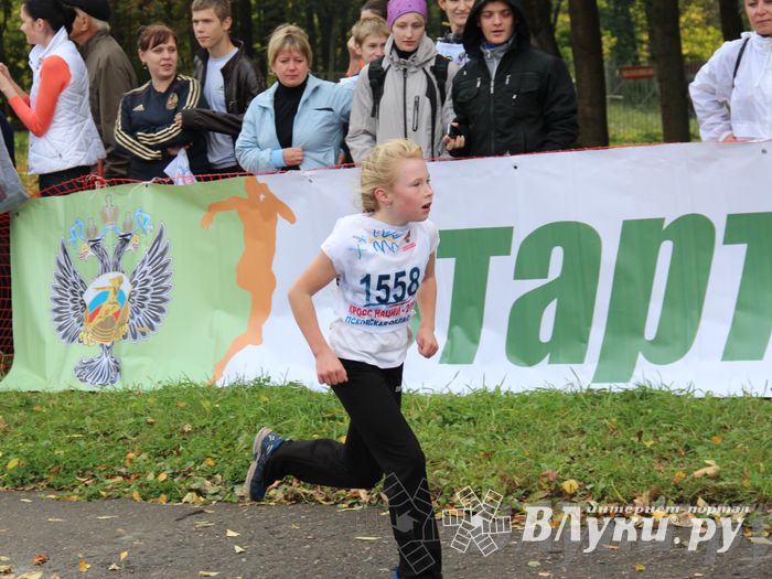 Кросс нации