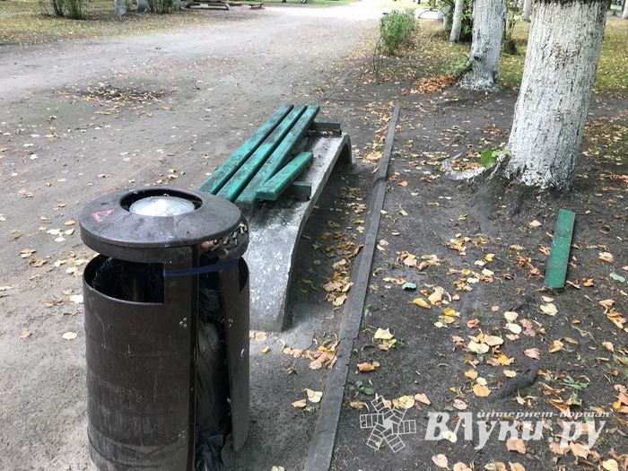 Парк Пушкина: «... А вкруг меня глухое запустенье...» (ФОТО)