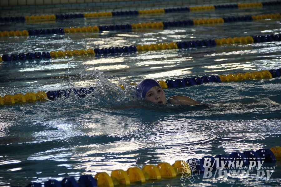 В Великих Луках прошло Первенство по плаванию (фото)