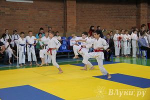 Великолучане стали победителями турнира по каратэ «Неприкосновенный запас, дети — Отчизны 2015» (фото)