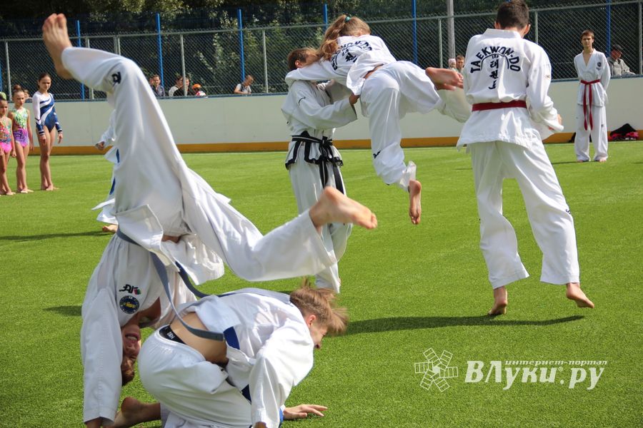 День спорта в День города: сила, мужество и грация (ФОТО)