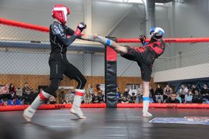 В Великих Луках прошел кубок по смешанному боевому единоборству (ФОТО)