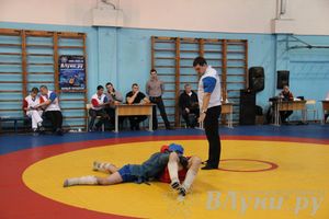 Первенство Псковской области по самбо