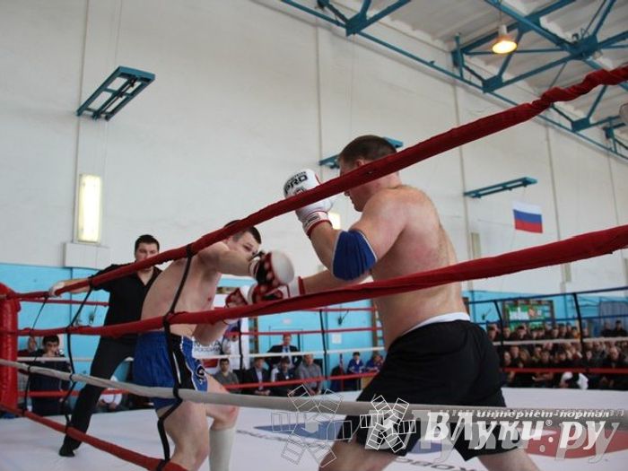 Чемпионат Псковской области по ММА