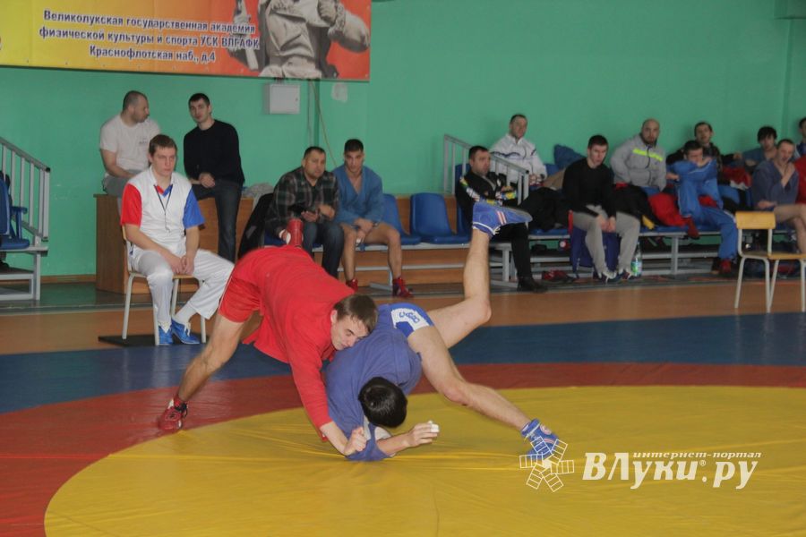 В Великих Луках прошел турнир по самбо, посвященный подвигу Александра Матросова (ФОТО)