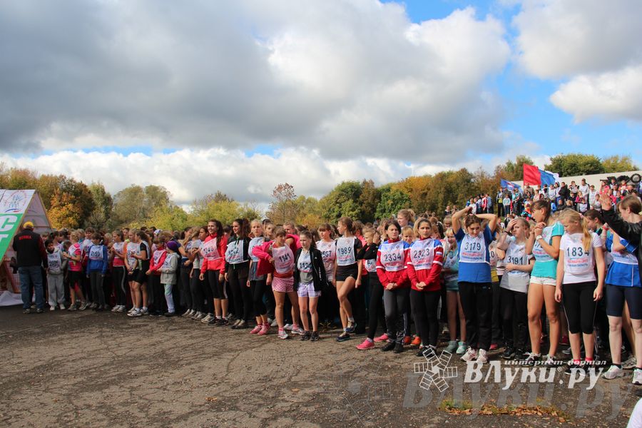 Кросс нации