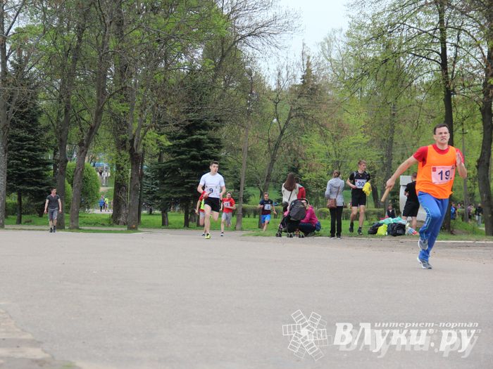В Великих Луках прошла весенняя городская эстафета (фото)