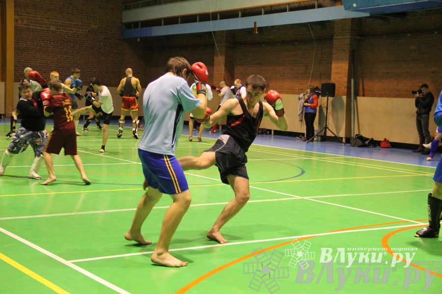 В Великих Луках прошел мастер-класс по кикбоксингу (фото)