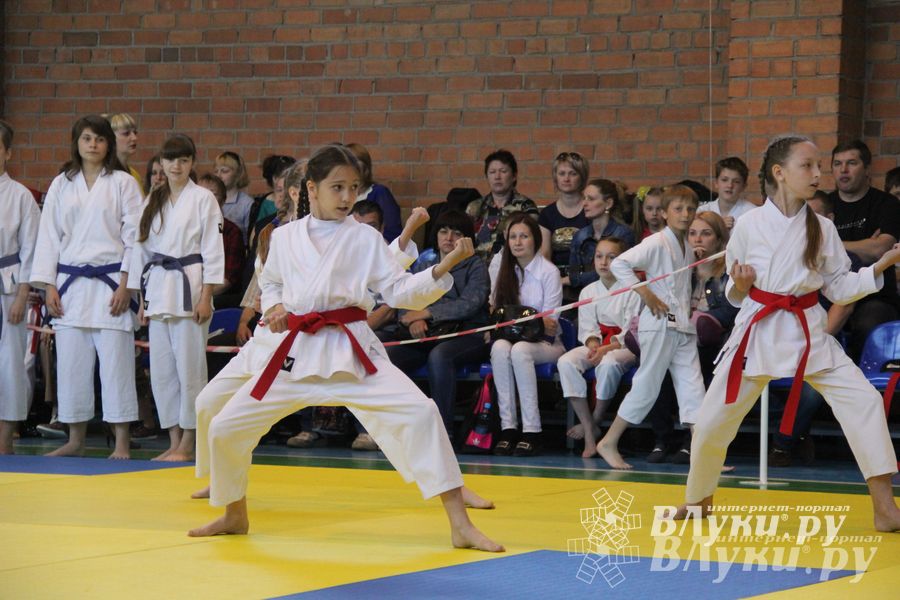 Великолучане стали победителями турнира по каратэ «Неприкосновенный запас, дети — Отчизны 2015» (фото)