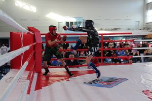 В Великих Луках завершился открытый кубок по смешанному боевому единоборству ММА (ФОТО)