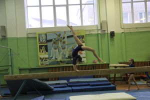 В Великих Луках прошло Первенство города по спортивной гимнастике (фото)