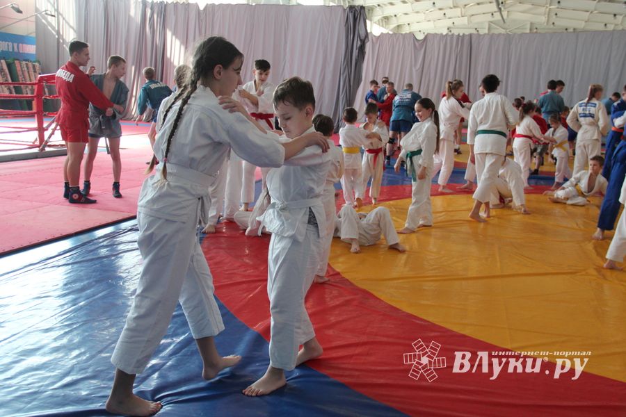 Сергей Фомин провёл мастер-классс для великолукских дзюдоистов (ФОТО)