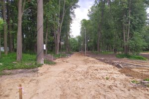 В парке «Петровском» появляются пешеходные дорожки (ФОТО)