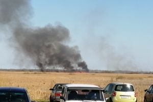 В Великих Луках вновь жгут траву