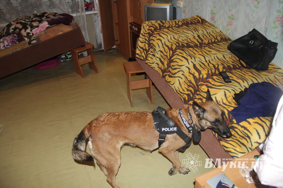 В Великих Луках проходит акция «Сообщи где торгуют смертью» (ФОТО)