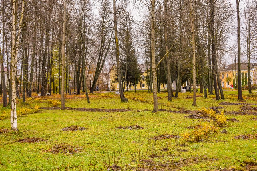 Фото: компания Greenworks