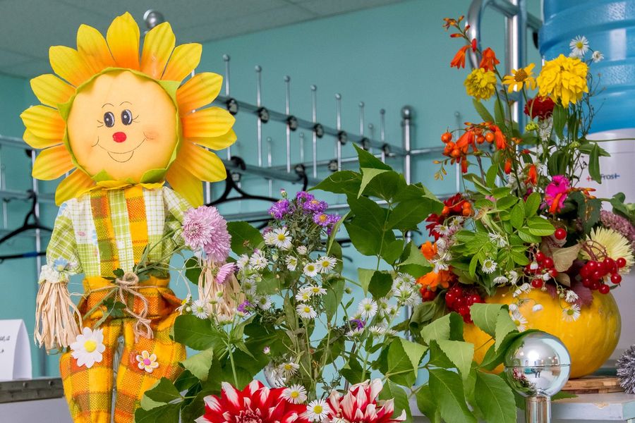 ​Доверяйте профессионалам!