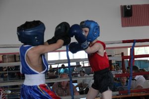 В Великих Луках прошло Первенство города по боксу (ФОТО)