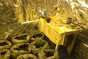 В Псковской области полиция накрыла нарколабораторию (фото)