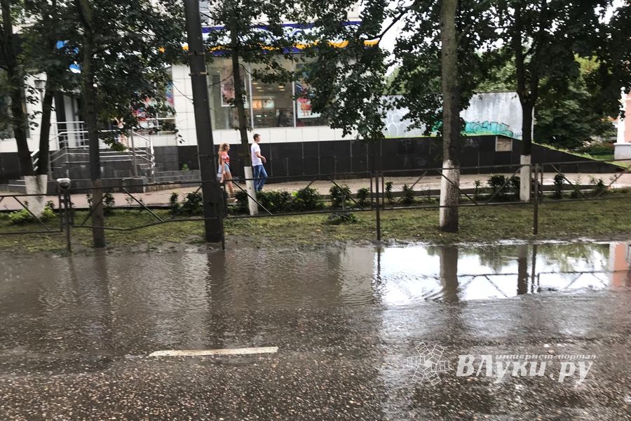 Луки в лужах (ФОТО)