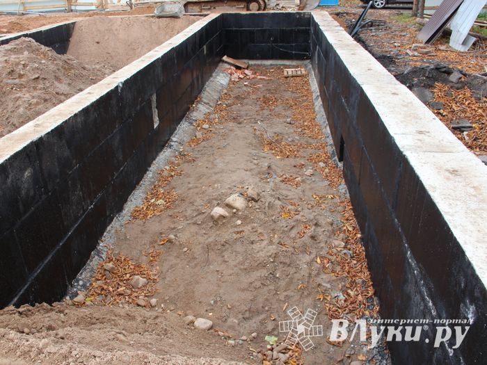 В скором времени нерадивых великолучан станет проще изолировать (ФОТО)