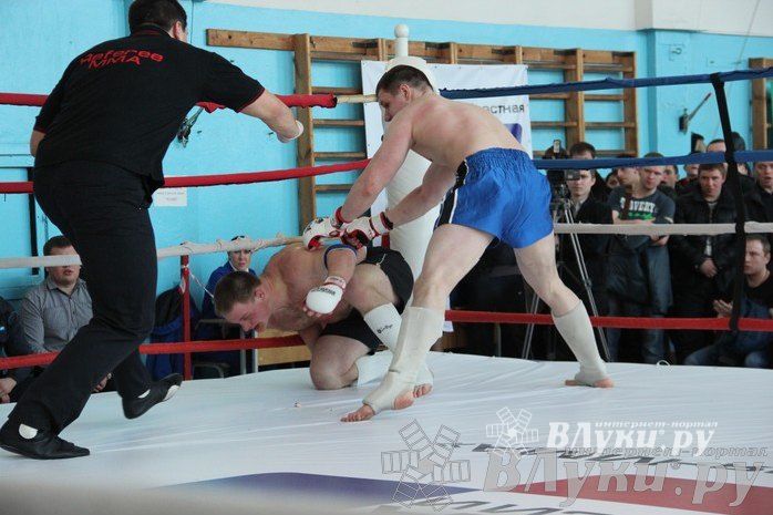 Чемпионат Псковской области по ММА