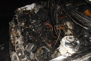 В Псковской области подожгли два автомобиля (ФОТО)