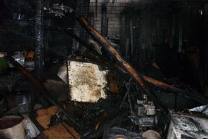 В Великих Луках сгорела хозпостройка (фото)