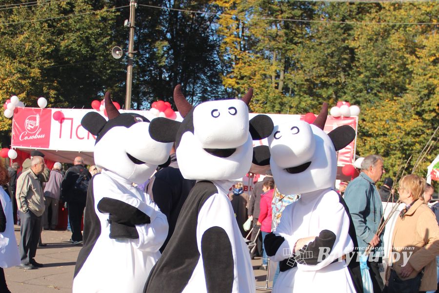 Торговая ярмарка «Осень-2016» прошла в Великих Луках (ФОТО)