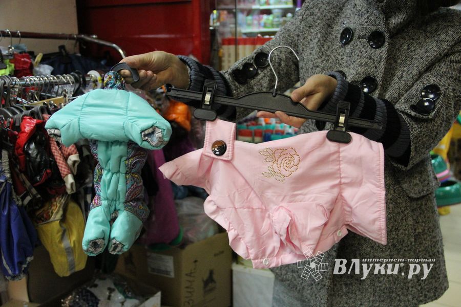 «Zooбастики»: подарите праздник своим любимцам! (ФОТО+ВИДЕО)