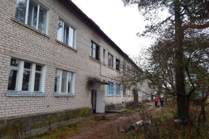 В Псковской области на пожаре сгорели отец и дочь (фото)