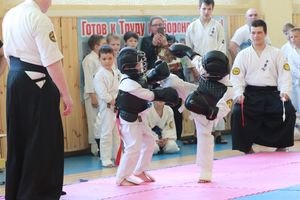 В Великих Луках прошло ​первенство города по ВБЕ «Кобудо» (ФОТО)
