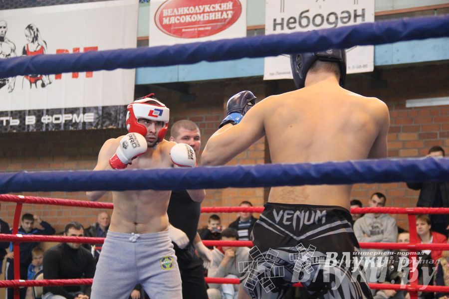 В Великих Луках прошел межрегиональный Открытый Кубок по смешанному боевому единоборству (фото)