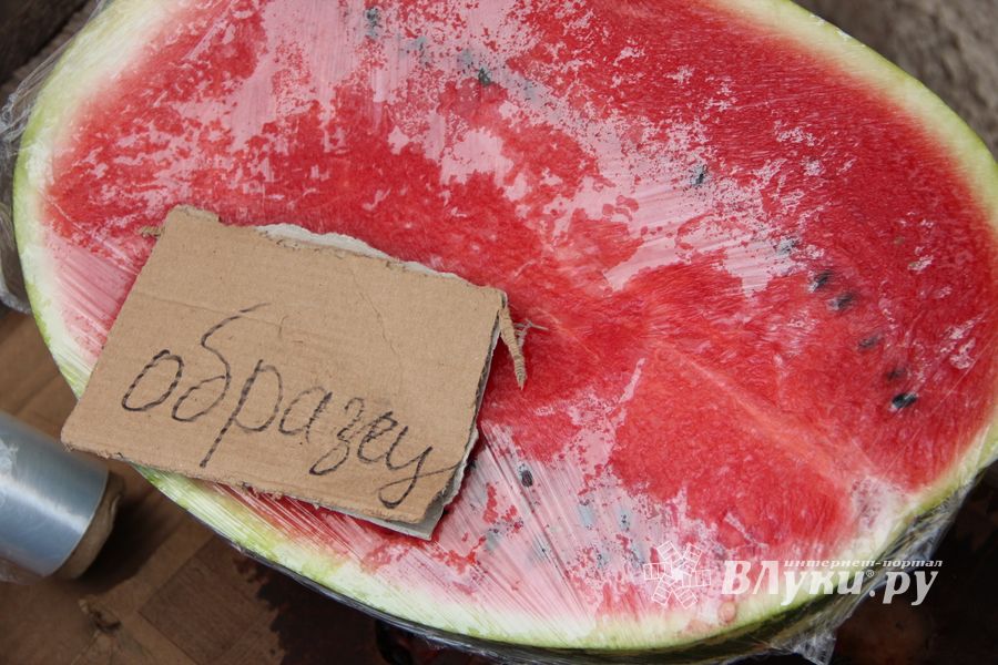 В Великих Луках проверили бахчевые (ФОТО)