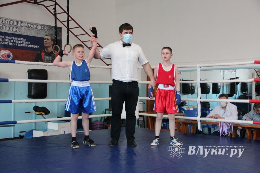 В Великих Луках завершился открытый турнир по боксу (ФОТО)