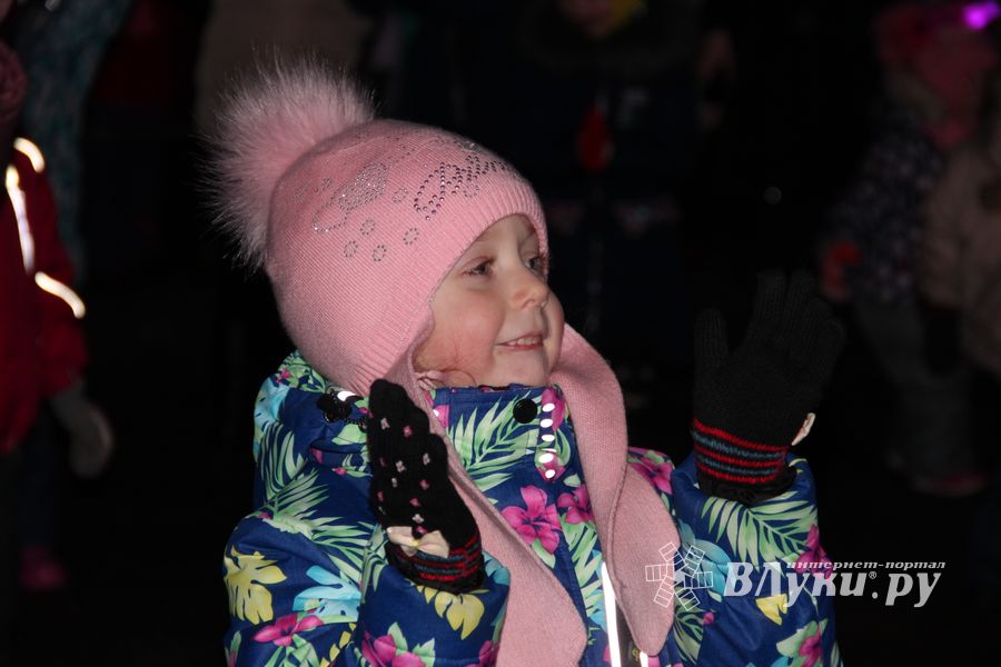 В Великих Луках зажгли Ёлку (ФОТО)