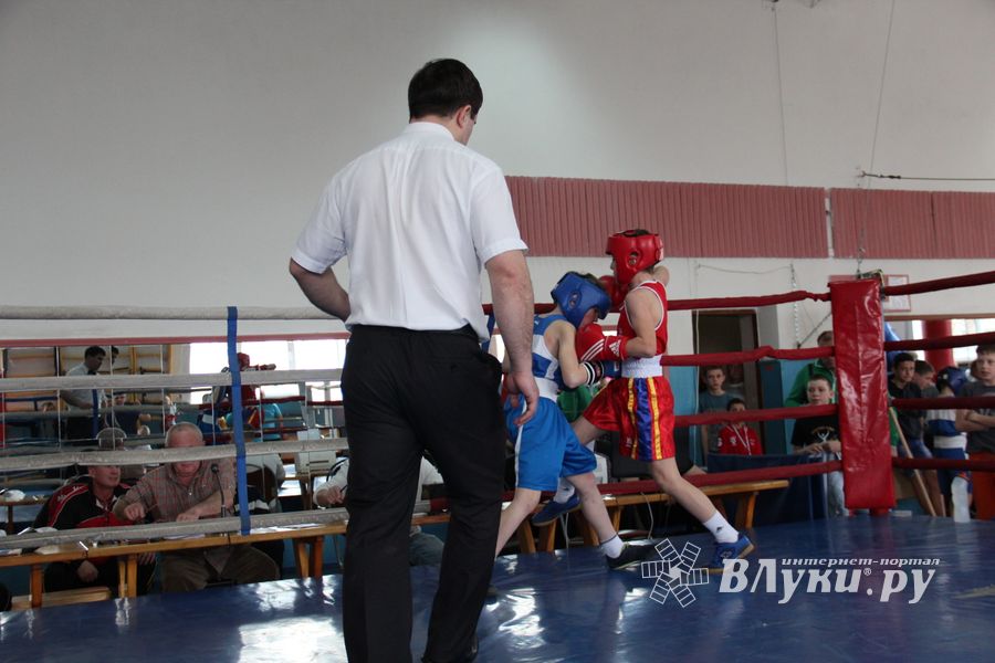 В Великих Луках прошло Первенство города по боксу (ФОТО)