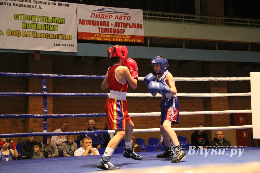 В Великих Луках проходят соревнования по боксу памяти Е.А. Клевцова (фоторепортаж)