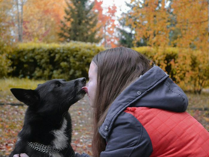 Объявляем победителей фотоконкурса «Косточка к Новому году» (ФОТО)