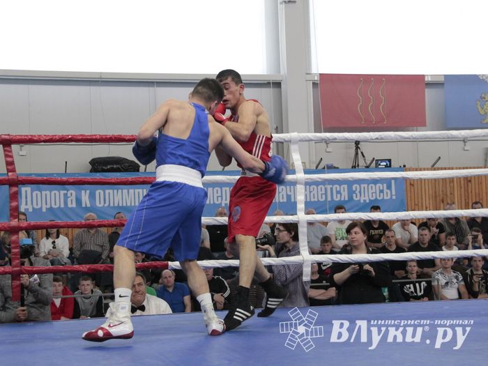 Матчевая встреча по боксу Великие Луки —Псков — Грозный (ФОТО)