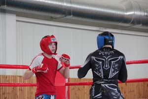 В Великих Луках проходит открытый кубок по смешанному боевому единоборству ММА (ФОТО) (12+)