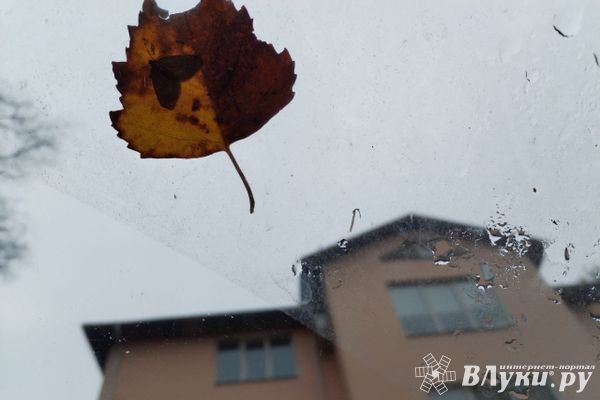 На Северо-Западе будут хозяйничать атлантические циклоны