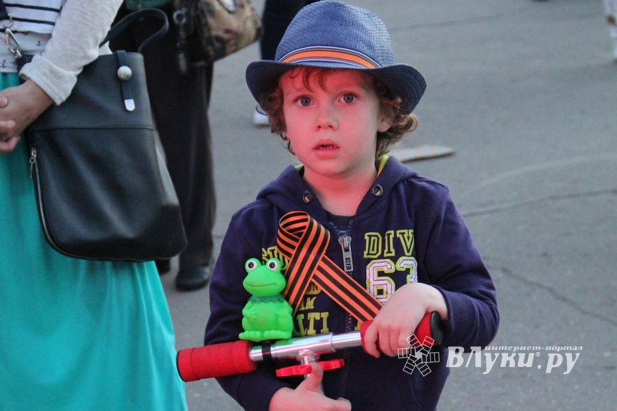 ​Праздничным концертом и салютом завершились празднования Дня Победы в Великих Луках (фото)