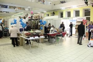 Шестая великолукская универсальная выставка открылась в Великих Луках (фото + видео)