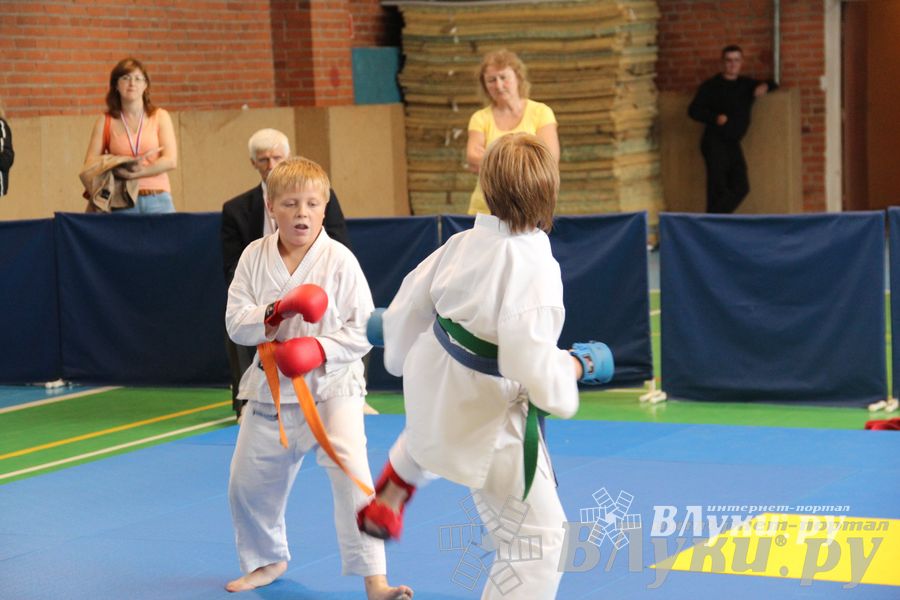 Турнир по каратэ «Неприкосновенный запас — дети Отчизны»