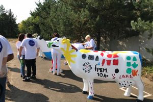 Миссия выполнима