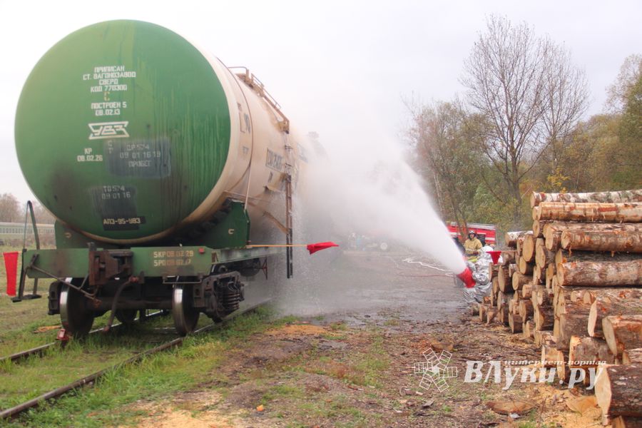 В Великих Луках тушили поезд (ФОТО)